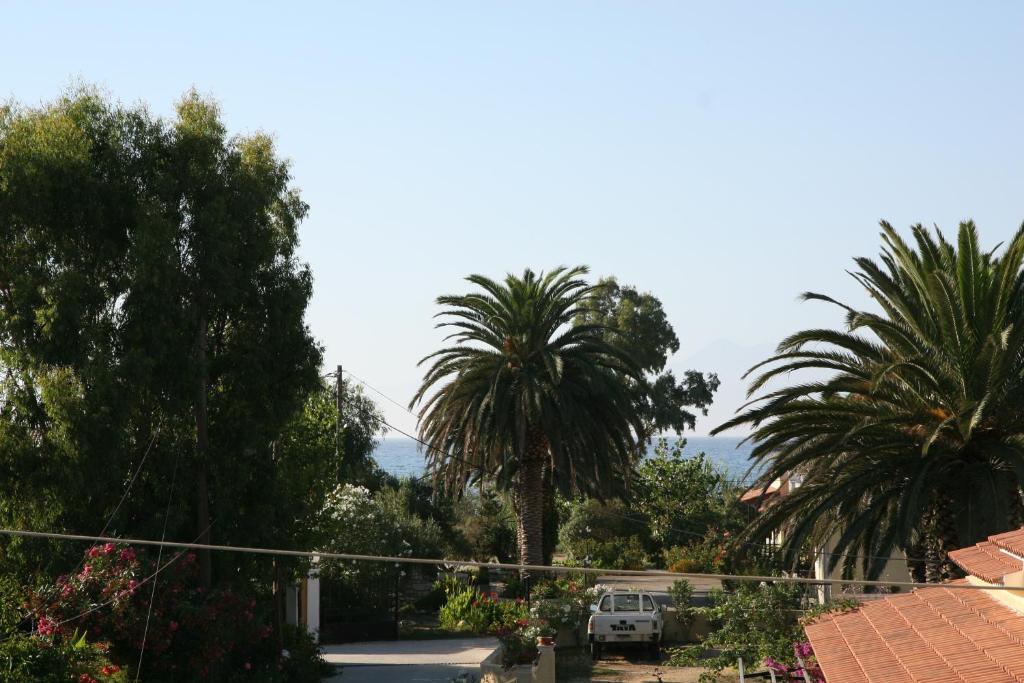 Feeloxenia Corfu *