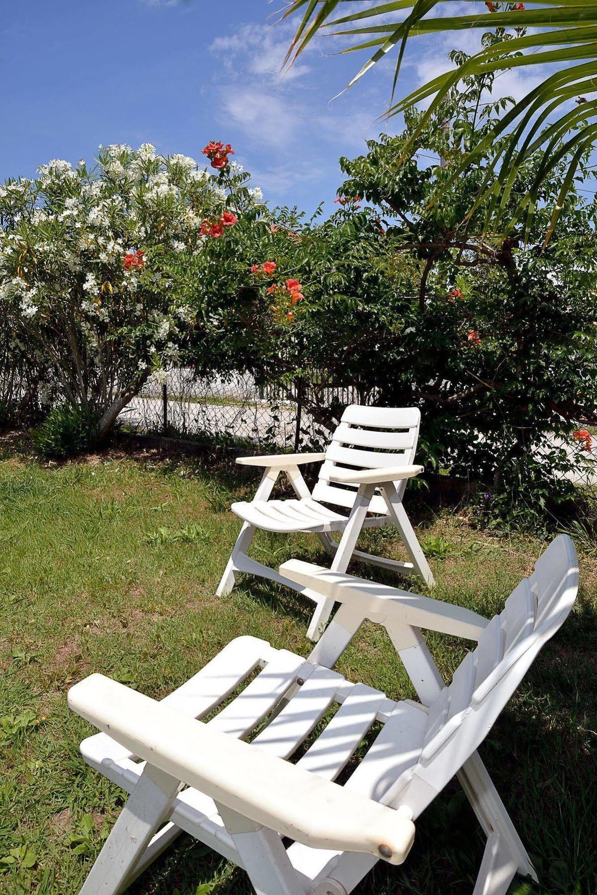 Feeloxenia Corfu Appartement *